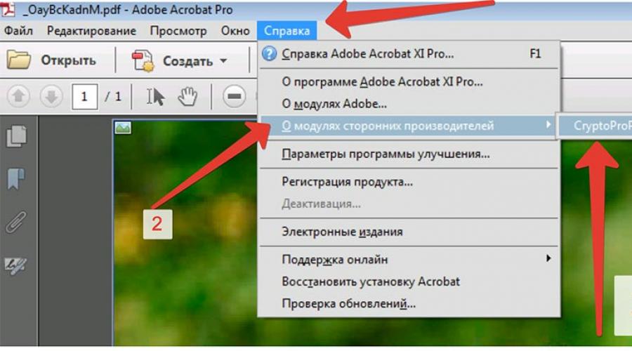 Подписать пдф файл. Как подписать документ pdf. Как подписать в pdf файле. Подписать pdf ЭЦП Acrobat. Как подписать документ в пдф.