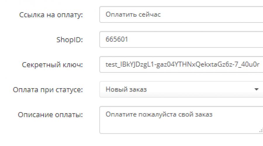 Подключение сервиса приема онлайн-оплаты Я.Касса. Подключение метода оплаты Яндекс.Касса Что такое scid яндекс касса