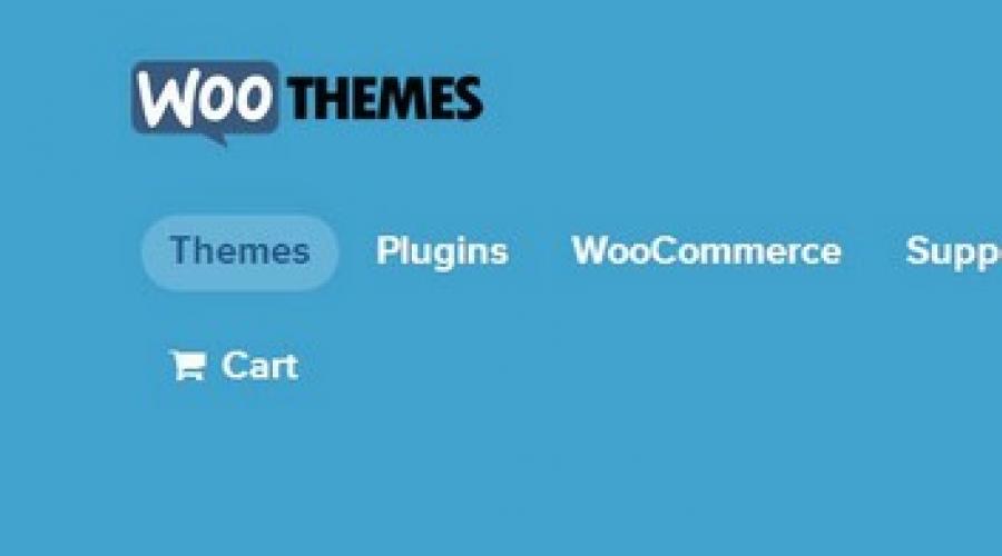 Plugin for ordering goods for wordpress.  How to create an online store on WordPress without unnecessary troubles