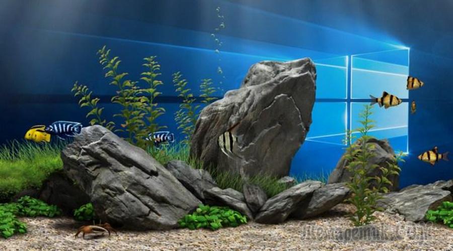 Screensaver Aquarium 3d Windows 7 Image Num 32